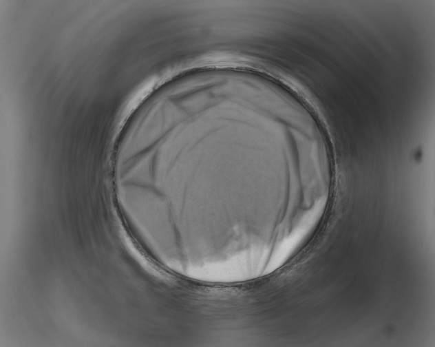 X0000116491429201001061132