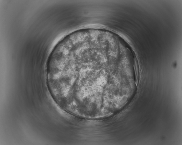 X0000116491430201001061132