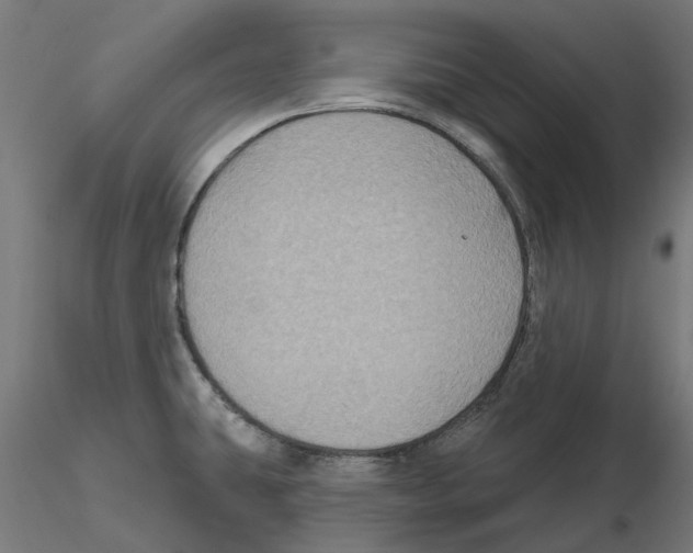 X0000116491431201001061132