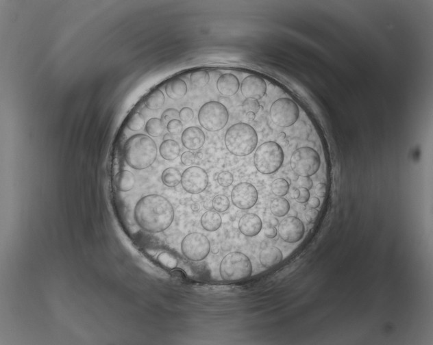 X0000116491432201001061132