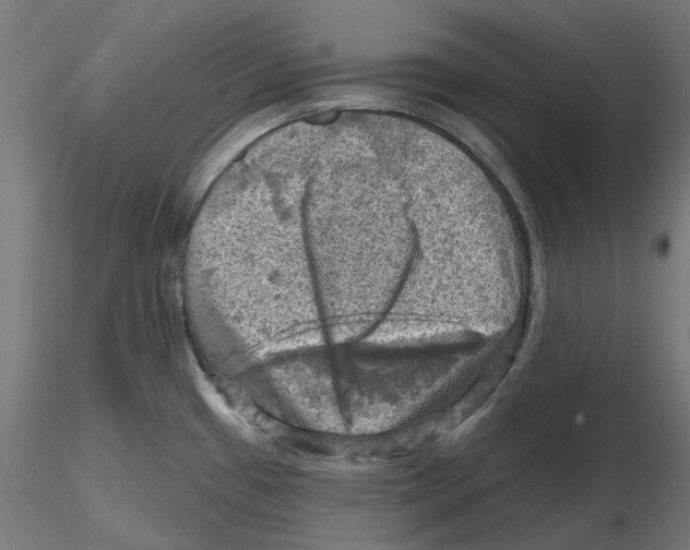 X0000116491433201001061132