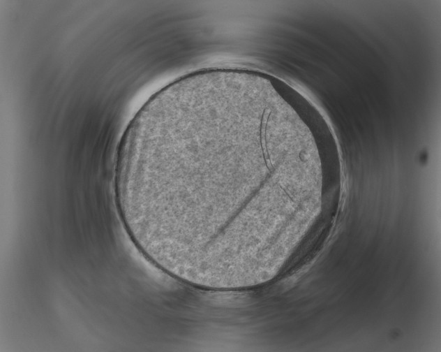 X0000116491437201001061132