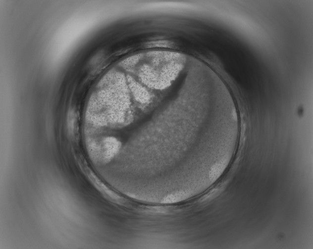 X0000116491438201001061132