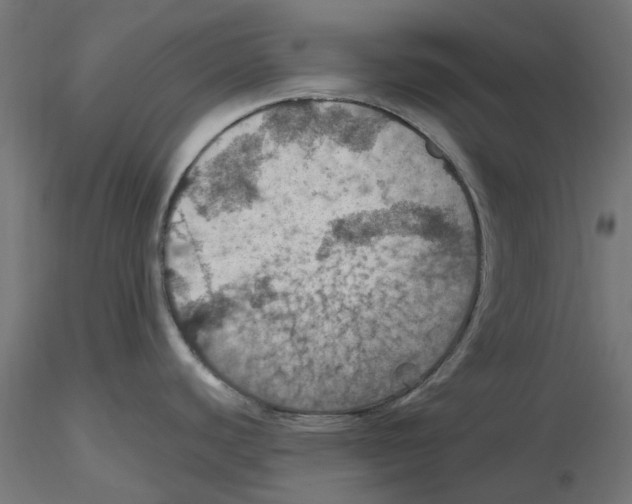 X0000116491440201001061132