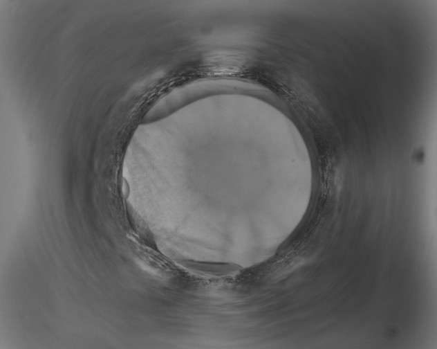 X0000116491441201001061131