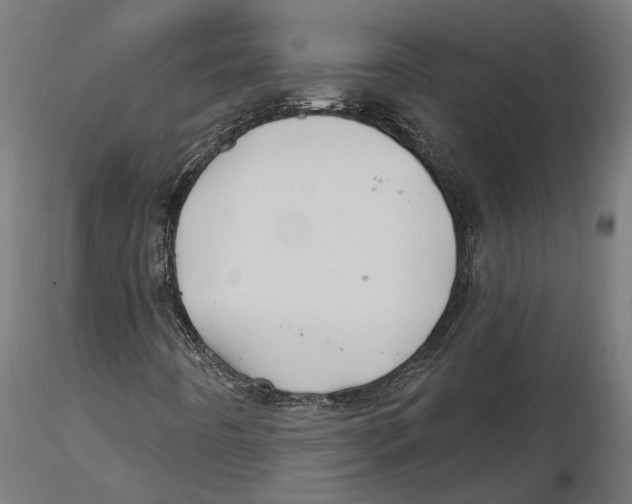 X0000116491442201001061131