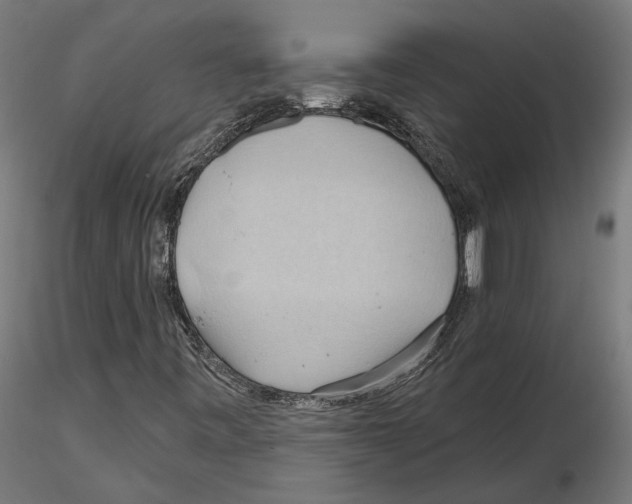 X0000116491443201001061131