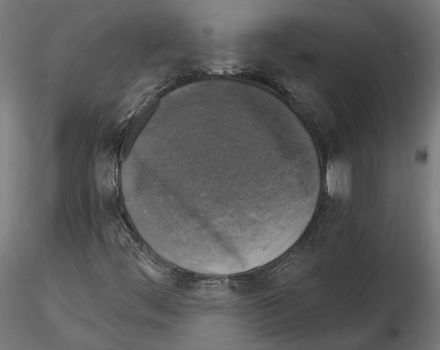 X0000116491444201001061131