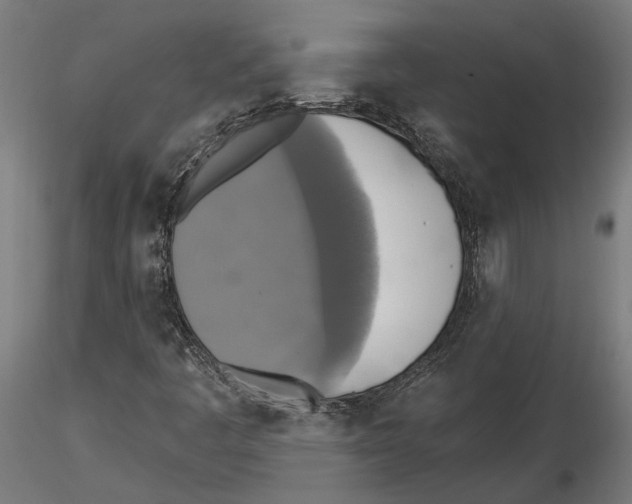 X0000116491445201001061131