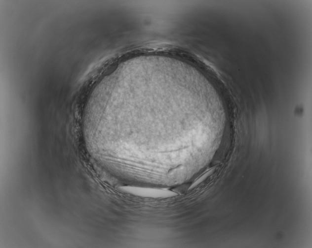 X0000116491447201001061131