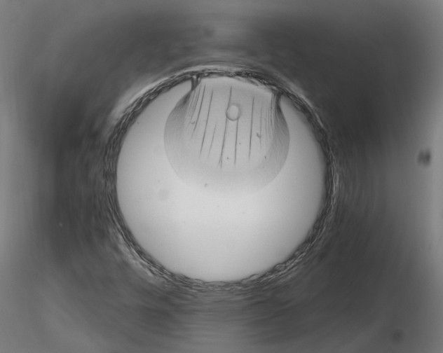 X0000116491448201001061131