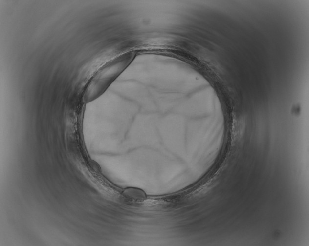 X0000116491449201001061131