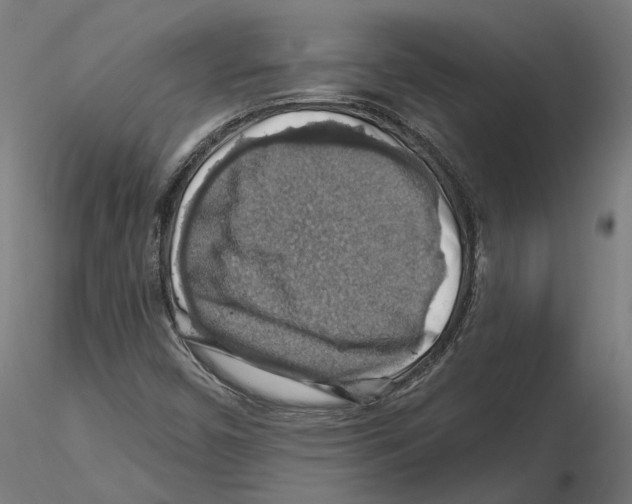 X0000116491450201001061131