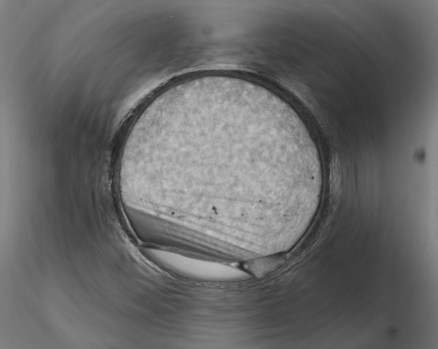 X0000116491452201001061131