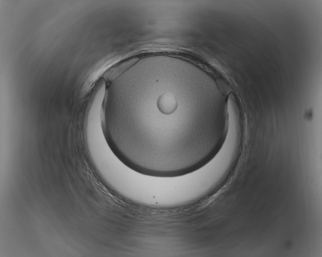 X0000116491453201001061131