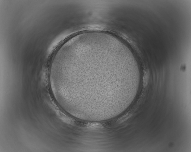 X0000116491454201001061131