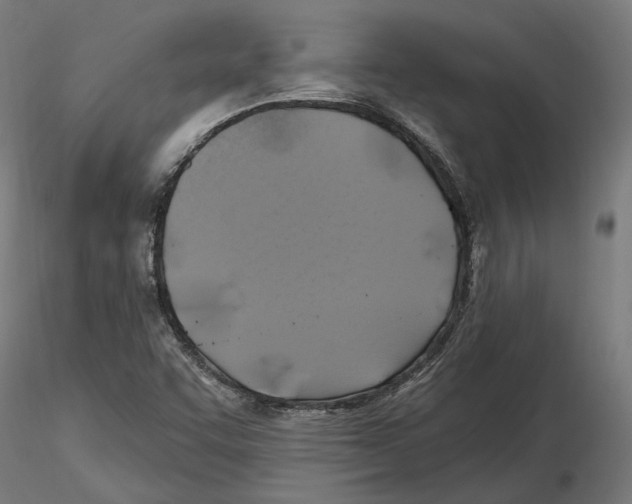 X0000116491455201001061131