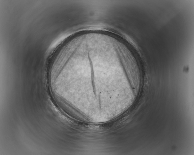 X0000116491456201001061131