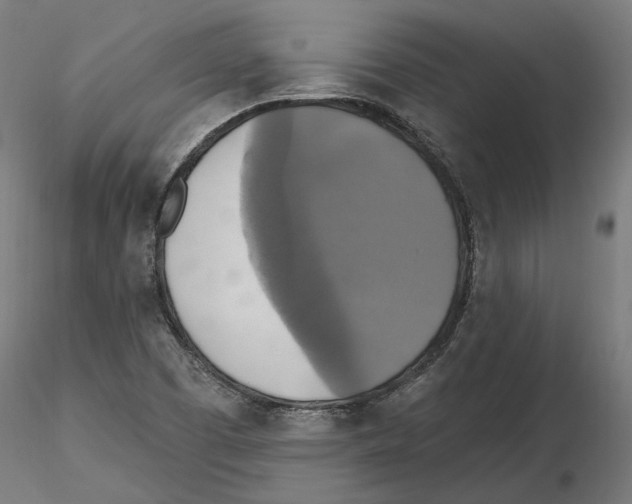 X0000116491457201001061131