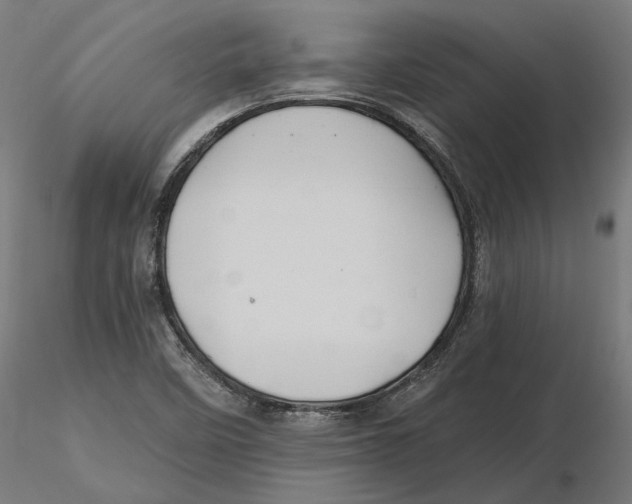 X0000116491458201001061131