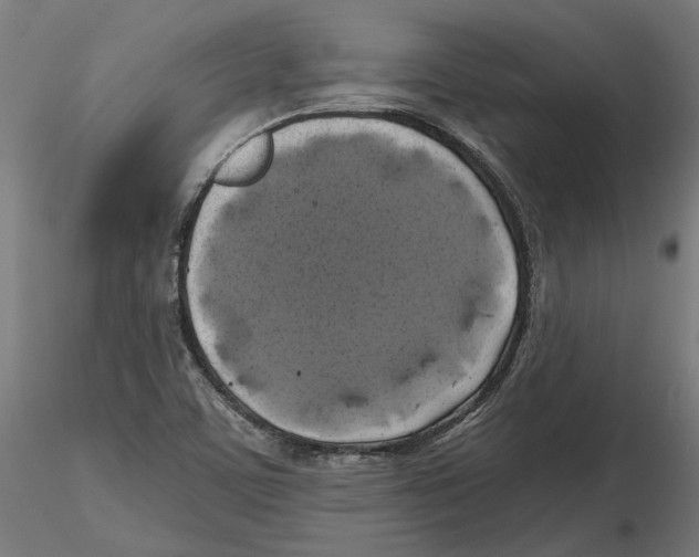 X0000116491459201001061131