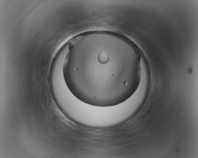 X0000116491460201001061131