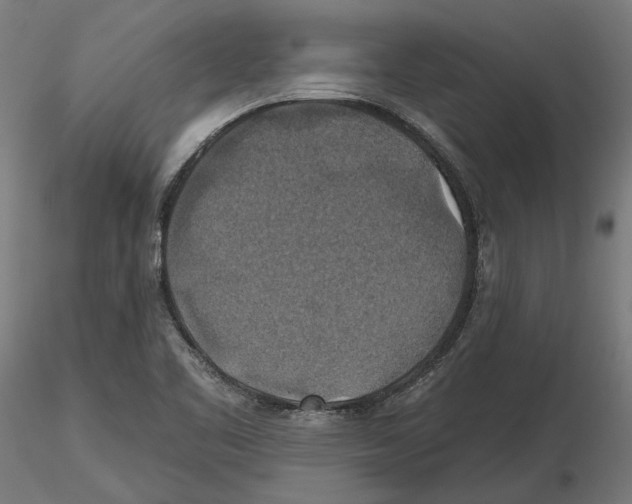 X0000116491461201001061131