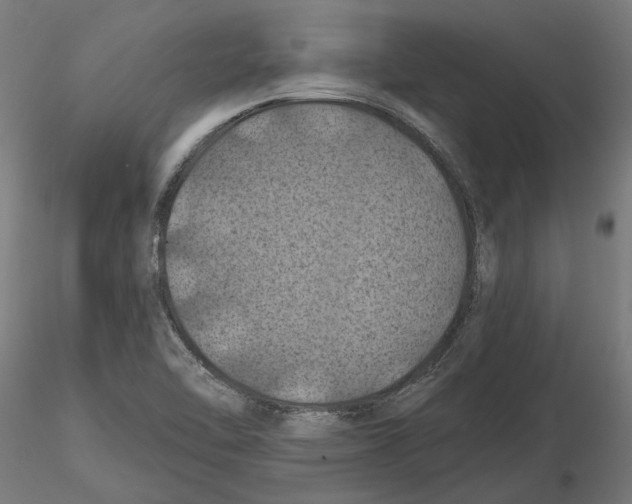 X0000116491462201001061131