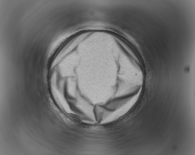 X0000116491464201001061131