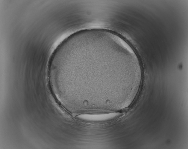 X0000116491469201001061131