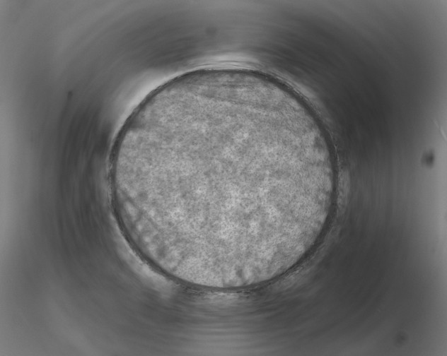 X0000116491470201001061131