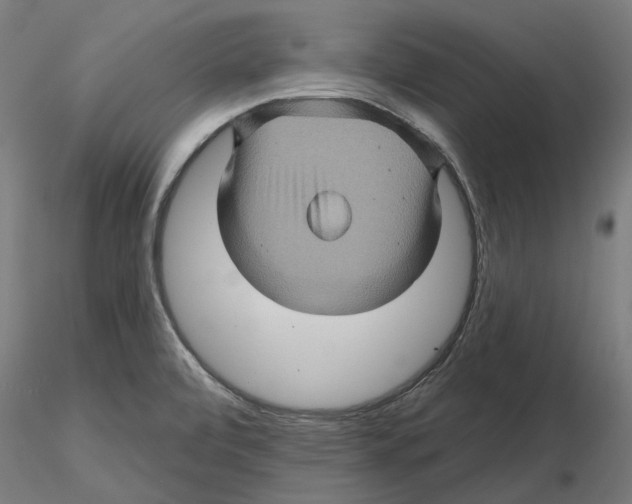 X0000116491472201001061131