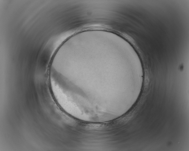 X0000116491474201001061131