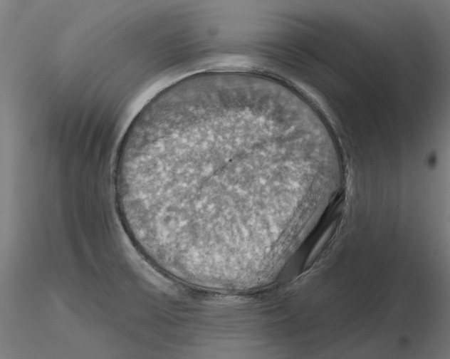 X0000116491475201001061131