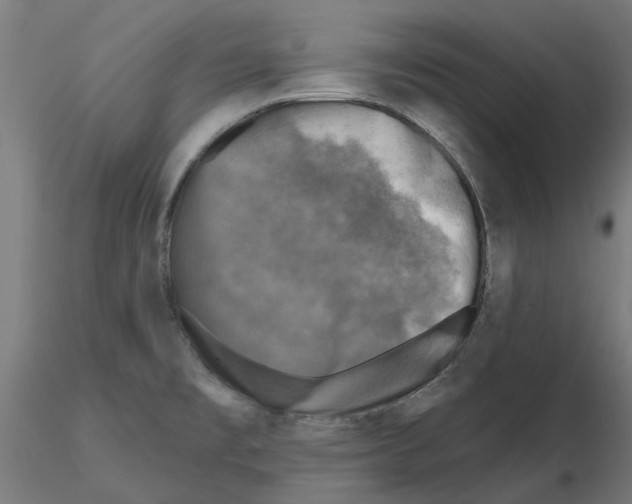 X0000116491477201001061131