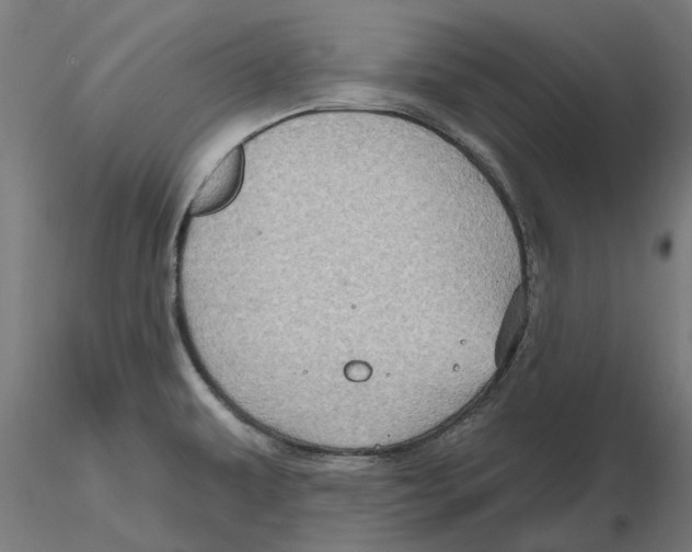 X0000116491479201001061131