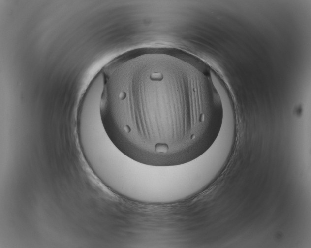 X0000116491480201001061131