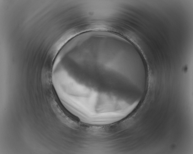 X0000116491481201001061131