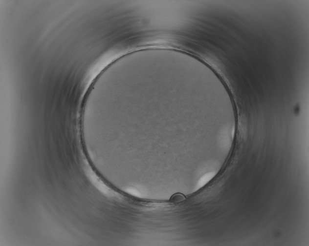 X0000116491482201001061131