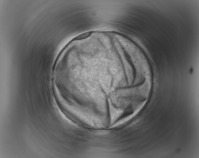 X0000116491484201001061131