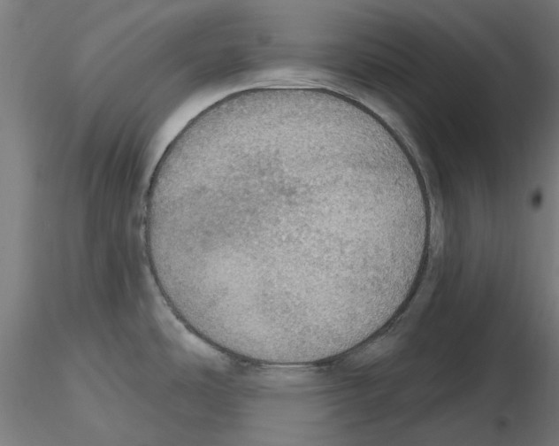 X0000116491486201001061131