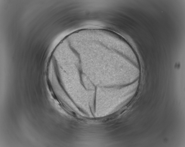 X0000116491488201001061131