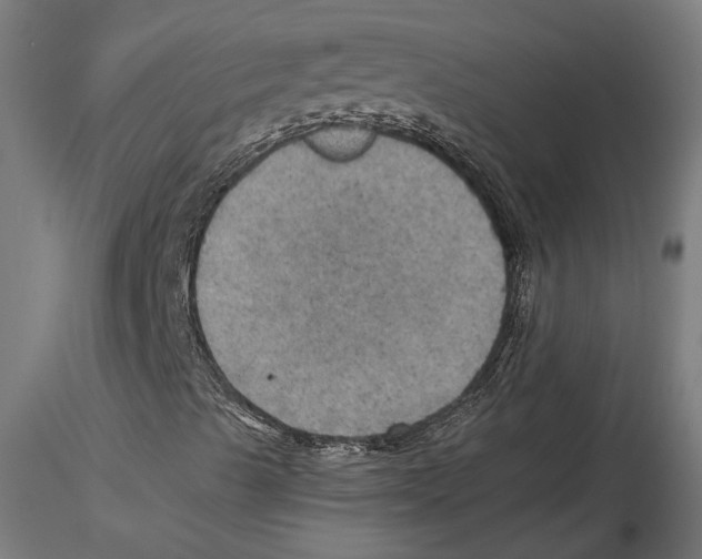 X0000116491489201001061130