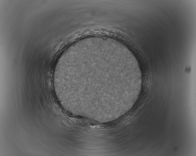 X0000116491490201001061130