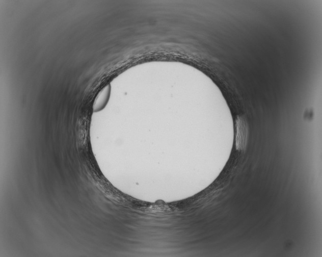 X0000116491491201001061130