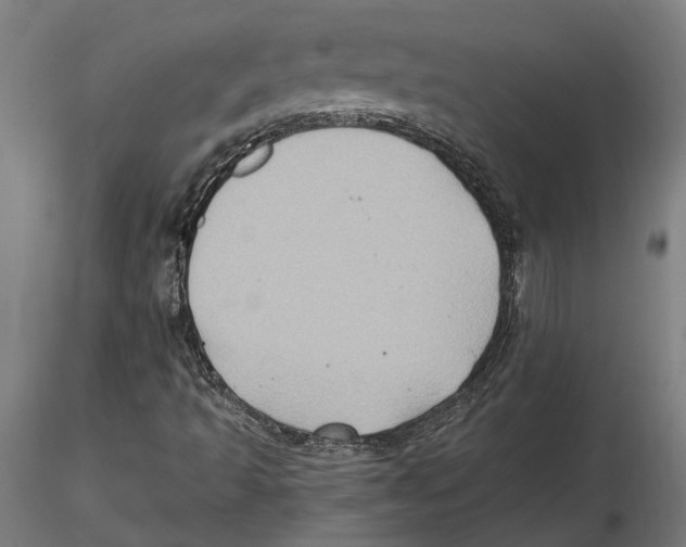 X0000116491493201001061130