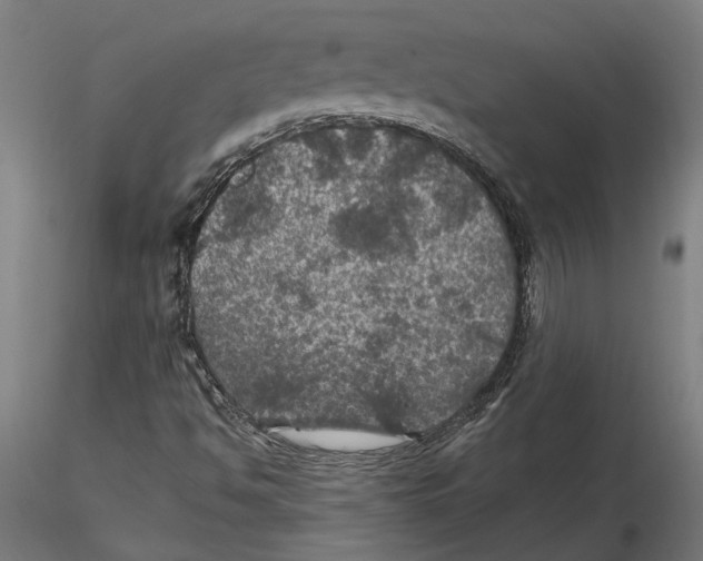 X0000116491494201001061130