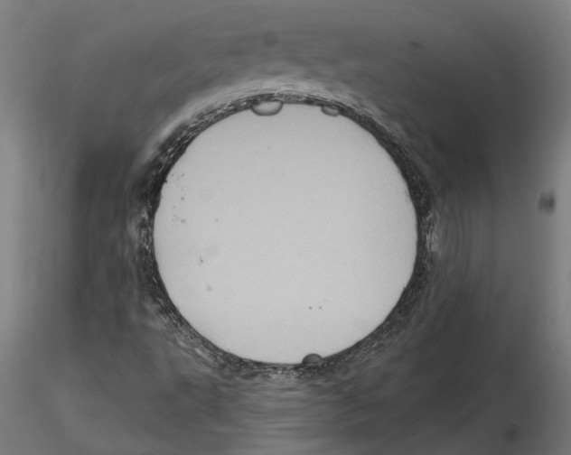 X0000116491495201001061130