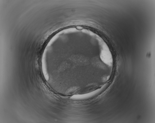 X0000116491497201001061130