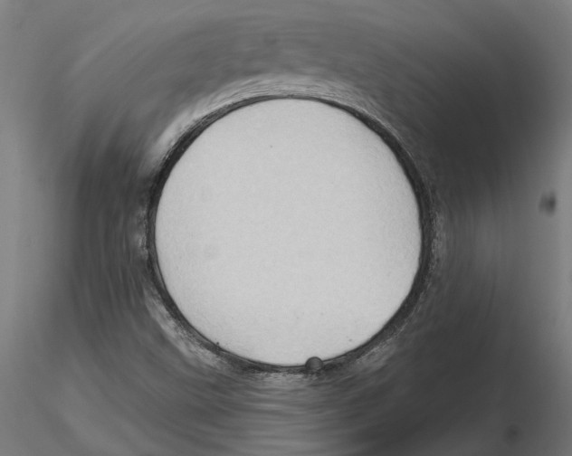 X0000116491499201001061130